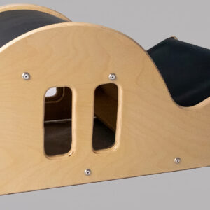 PilatesMade Spine Corrector